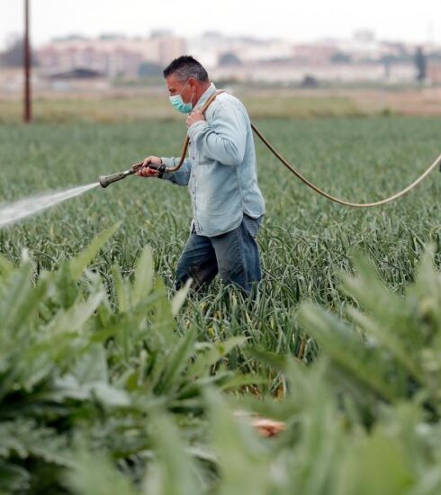 El campo avisa de que no hay mano de obra para recoger cosechas