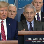 Fauci dice que “no hay, fundamentalmente, una diferencia” entre su punto de vista y el de Trump sobre el coronavirus