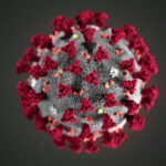 Las muertes por coronavirus en EE.UU. podrían alcanzar su punto máximo en tres semanas, según el epidemiólogo